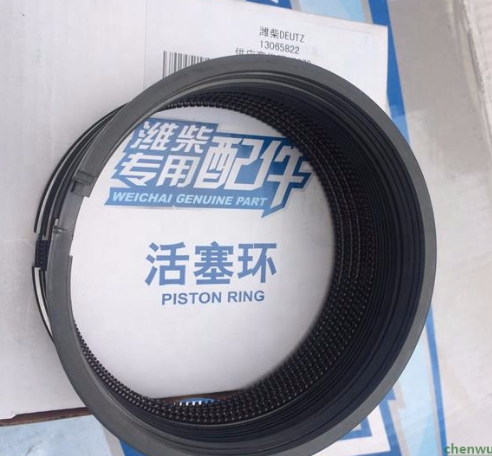 612600030051, PISTON RING, HOWO PARTS