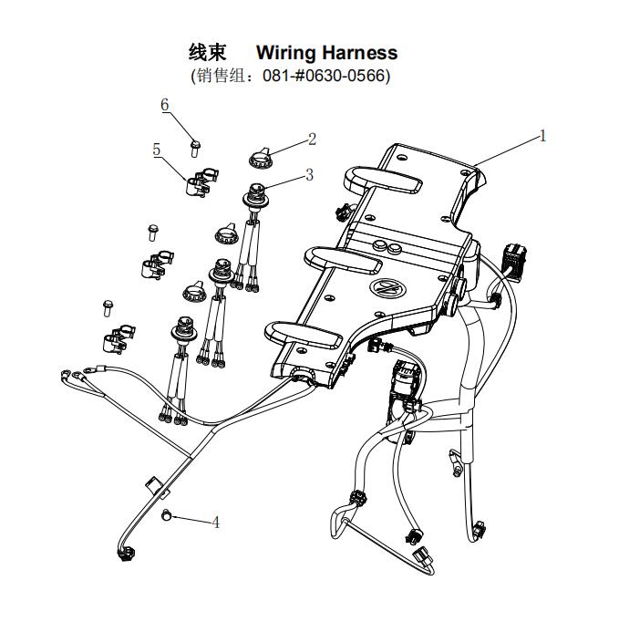 Wiring Harness, Sitrak MC05 Parts Catalogs